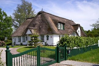 Kastanienhof - DogsWelcome FH