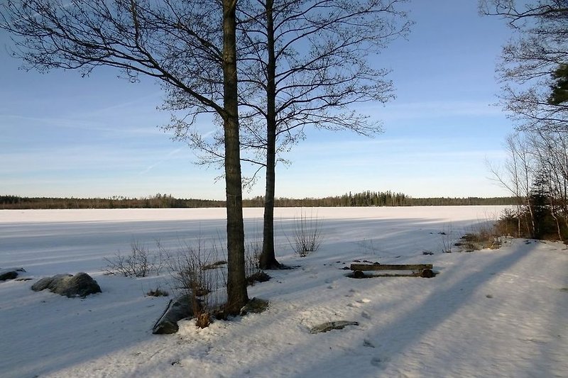 El lago en invierno