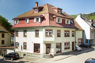 Fewo Todtnau - Hasenhornblick