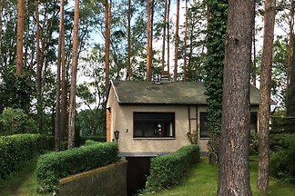 Ferienhaus am Mochowsee