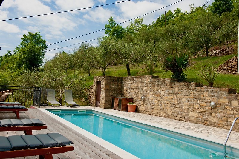 Pool mit Blick auf die Oliven