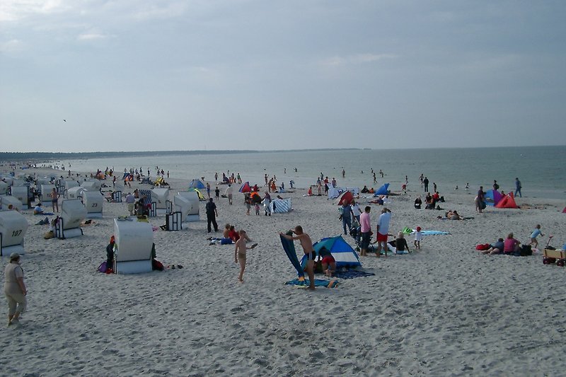 Nord-Strand in Prerow