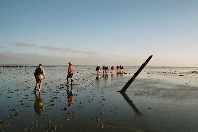 Friesenhaus Wattkoje am Wattenmeer