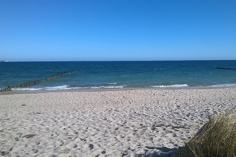 sandy beach of the baltic sea - only 600m away