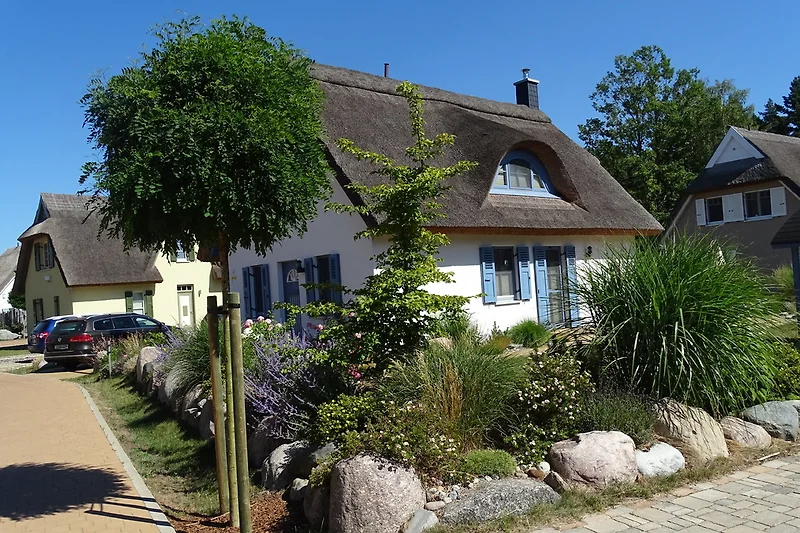 Reetgedecktes neues Massivhaus