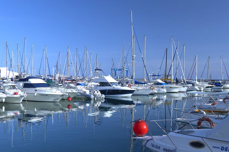 Der Hafen von Torre del Mar - La Caleta