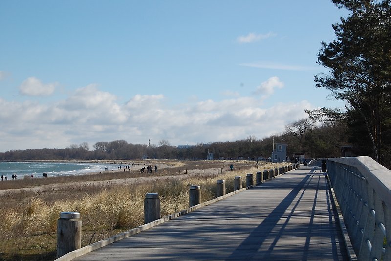 Traumhafte Spaziergänge, immer mit Blick zur Ostsee bietet die neue Strandprommenade