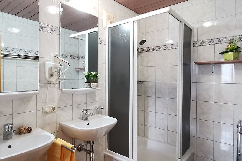 Badezimmer mit Spiegel, Waschbecken und Dusche.