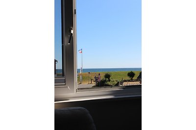 Seemöwe