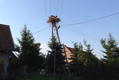 Haus am See - FeWo mit Terrasse
