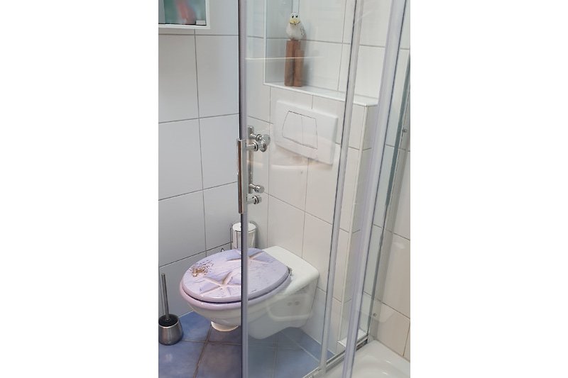 Blick ins Bad mit der Toilette, Waschbecken, Spiegelschrank, Ablageregal und Dusche