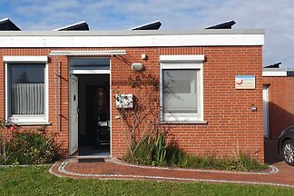 ...sempre volentieri di nuovo...