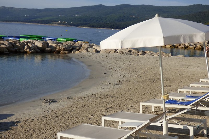 Strand mit Liegestühlen und Sonnenschirmen zu vermieten