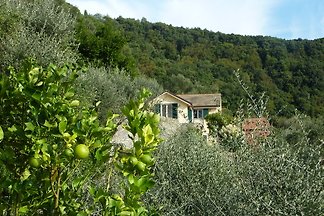 Villa mit Garten mit Meerblick