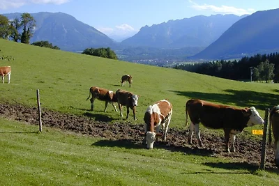 Kochhof