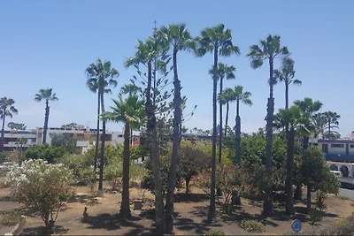 Apartamento Palmeras y Mar