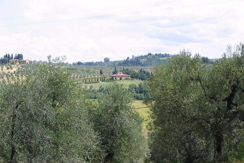 View to our holidayhome in Tuscany from the opposite hill