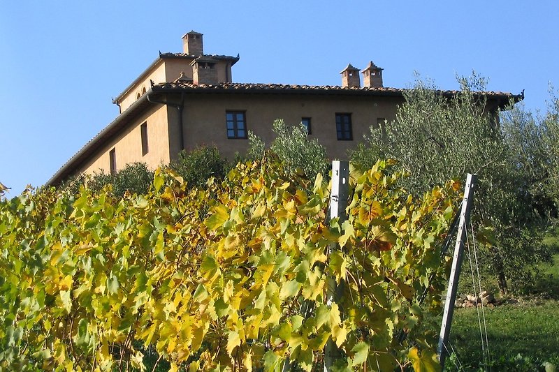 Holidayhome in Tuscany, Impressions in autumn