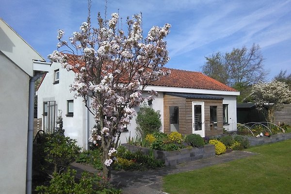 Vakantieappartement Egmond aan Zee