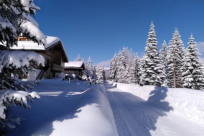 Duxeralm -"Haus Marlene" auf 1700m