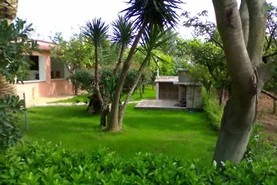 ORSA MAGGIORE 