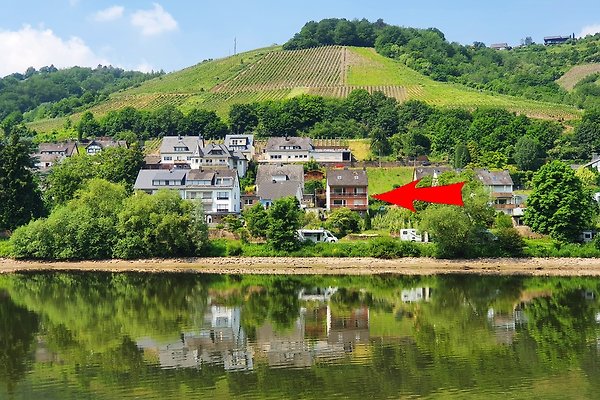 Ferienwohnung Zell (Mosel)