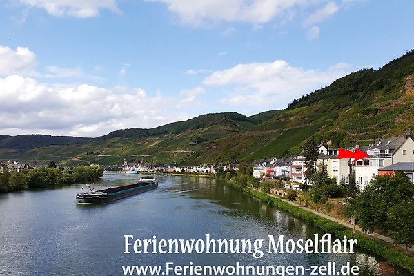 Ferienwohnung Zell (Mosel)
