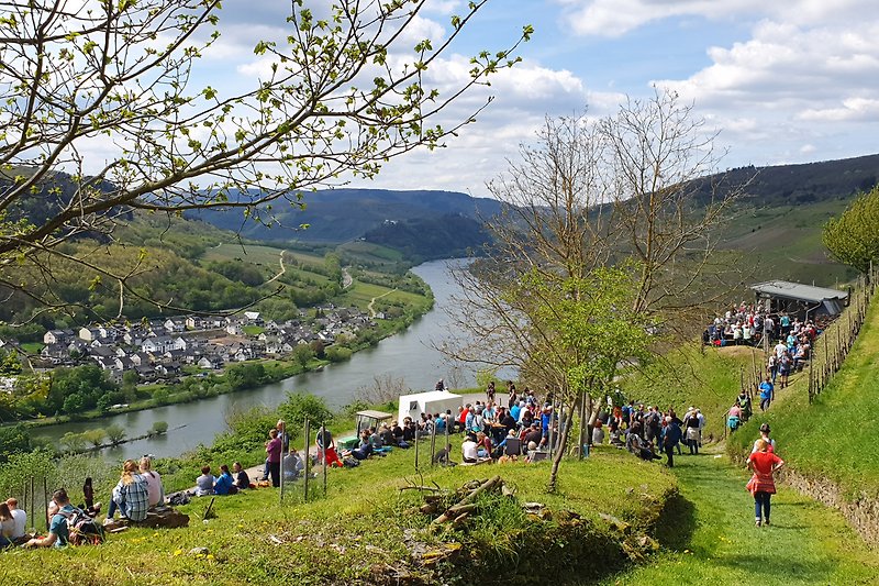 Zeller Schwarze Katz Festival-Event in den Weinbergen