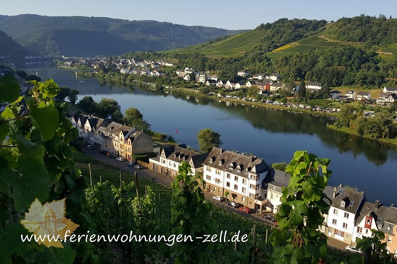 Lage Ferienhaus Inselblick in Zell Mosel