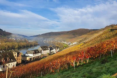Ferienhaus Inselblick in Traumlage