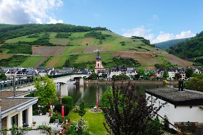 Ferienhaus Reblaus Zell Mosel