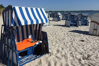 FeWo Bodden, strandnah, 2020 renov.