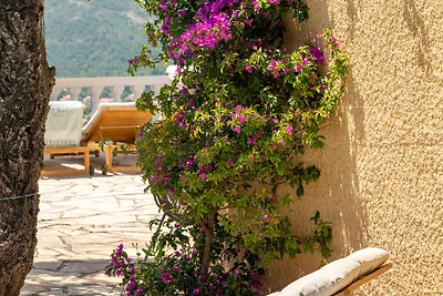 Panorama Azur