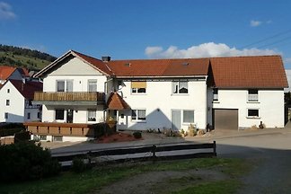 Trefpuntsauerland