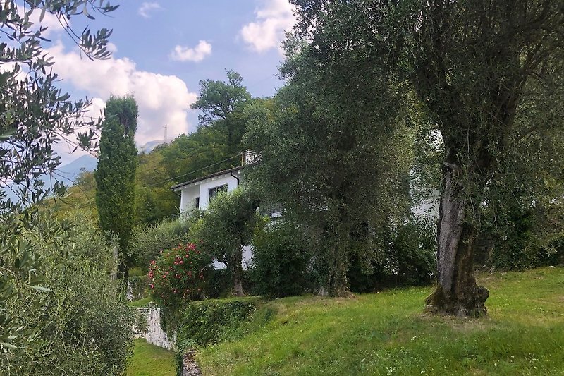 Garten und Villa