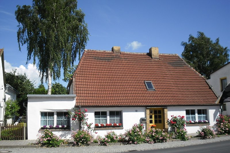 House with holiday apartment