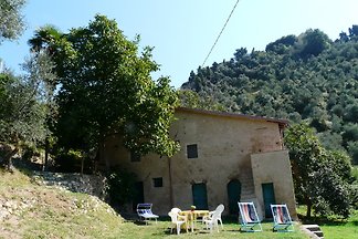 Villino Graceland