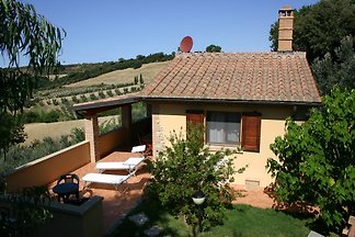 Vigna Frati