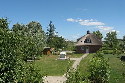 Ferienhaus Deichsonne