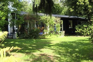 Ferienhäuser Küsterwiesen Haus 4
