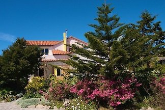 Kamelie / Ferienanlage Floramar