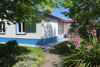 Hortensie / Ferienanlage Floramar