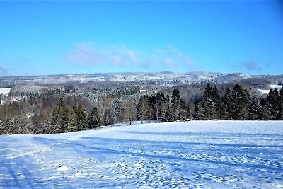 Casa di vacanza Im Himmelreich (Sauna)