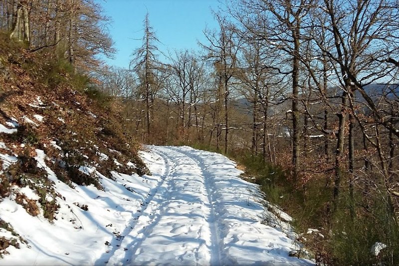 Winterspaziergang in Eichenbach