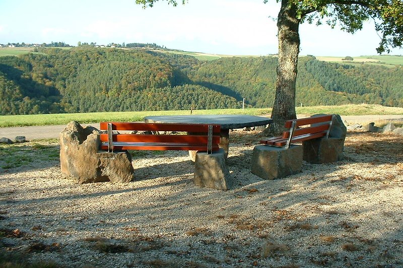 Grüne Wiese mit Bäumen, Bank und Picknicktisch, blauer Himmel.