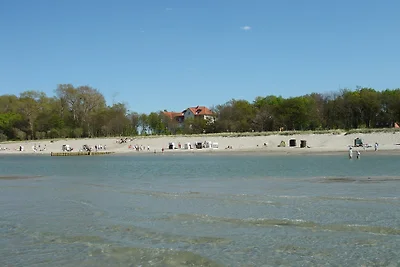 FeWo Ostseeidylle mit Meerblick