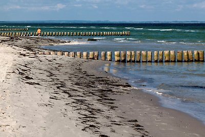 FeWo Strandidyll Top-Strandlage