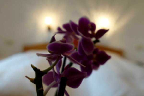 Ferienwohnung Eisenberg