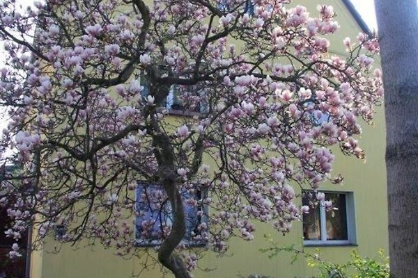 Ferienwohnung Chemnitz