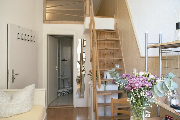 Ferienwohnung Senftenberg